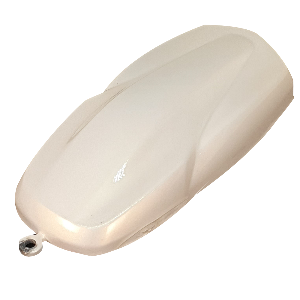 프로텍트 LC2X-01 Satin Gold (새틴 골드) 메탈릭 고무 코팅제