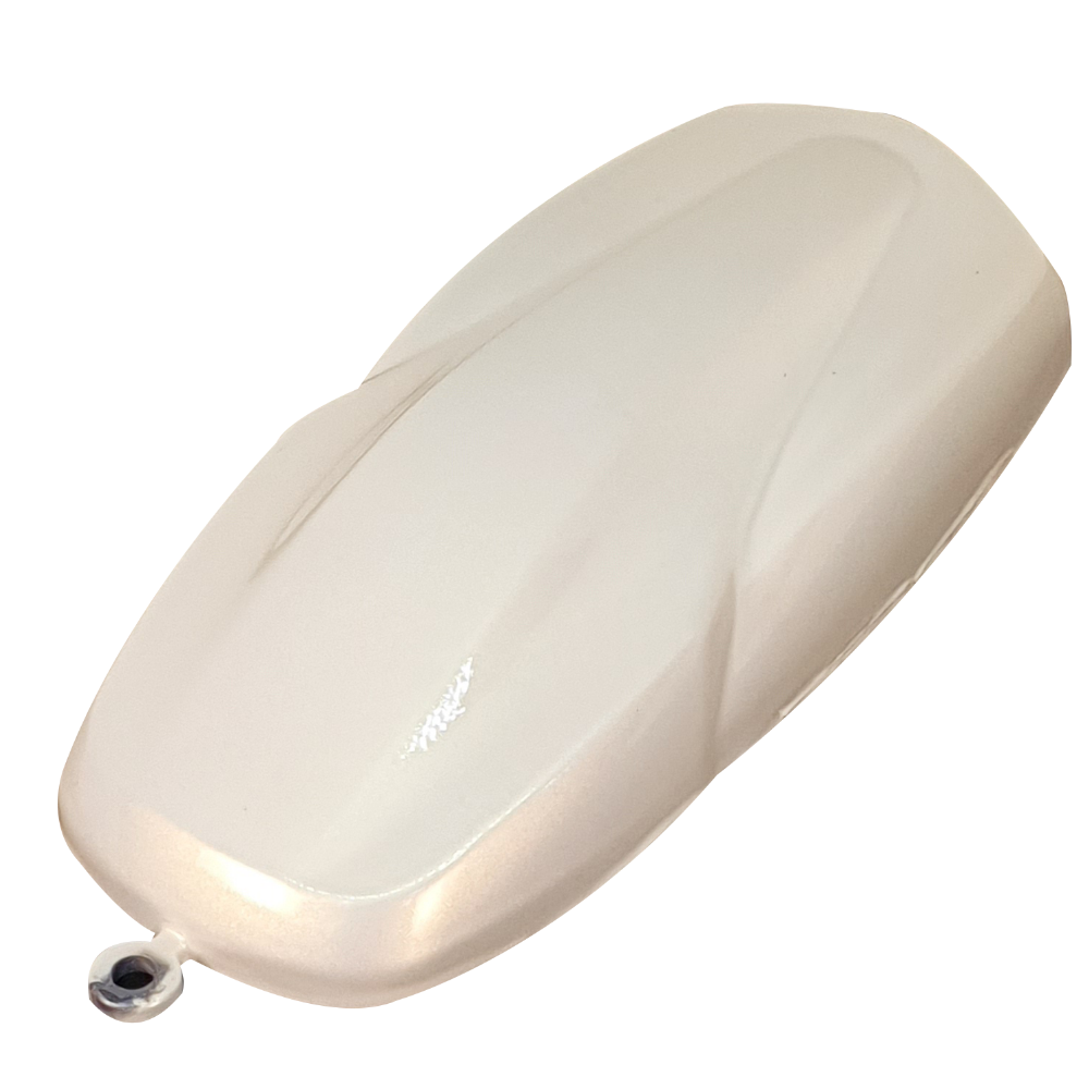 프로텍트 LC2X-02 Gold Pearl (골드펄) 메탈릭 고무 코팅제