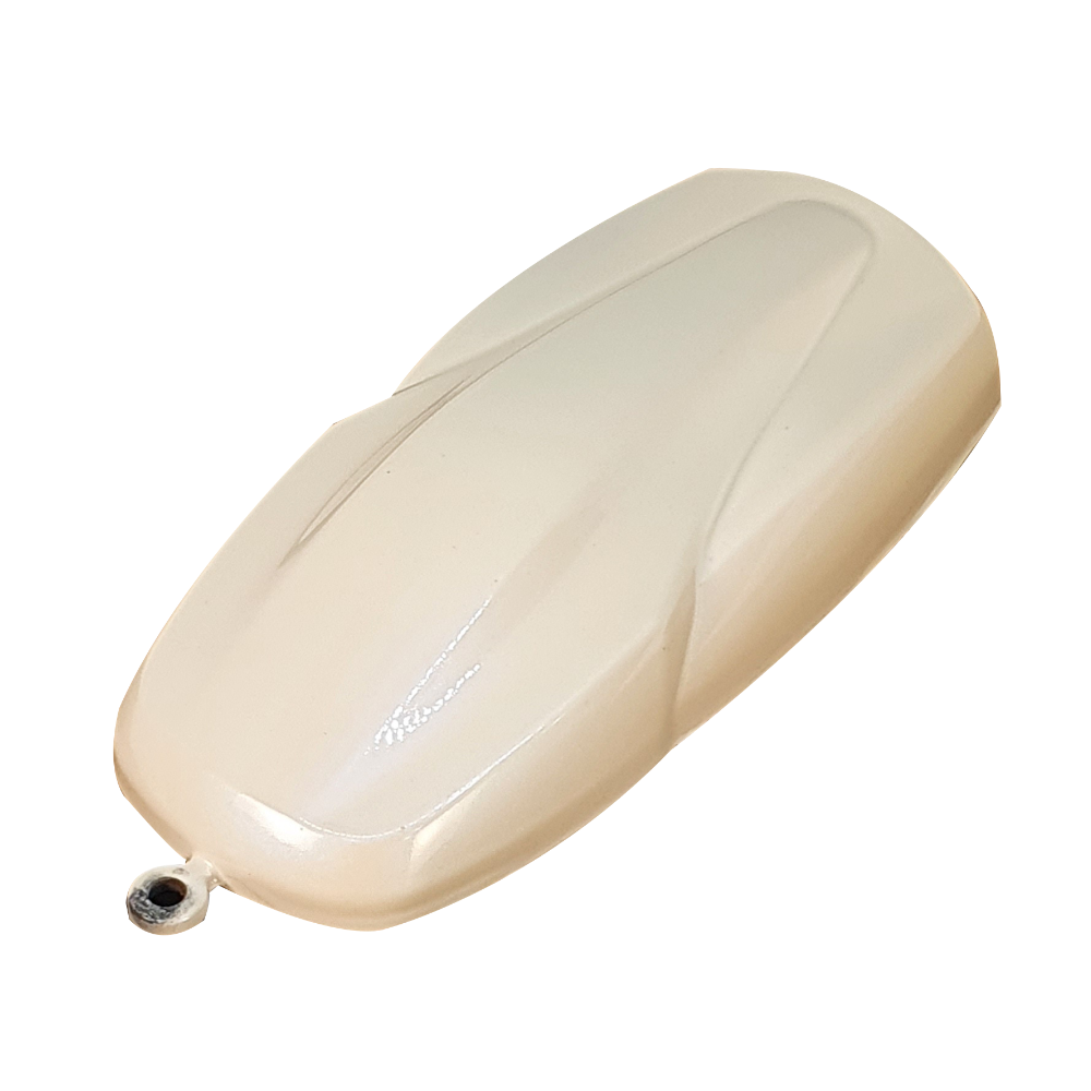 프로텍트 LC2X-09 Blue Pearl (블루펄) 메탈릭 고무 코팅제